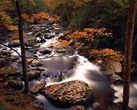 Great Smoky Mountains National Park, Tennessee