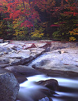 Swift River Autumn Display, New Hampshire